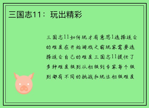 三国志11：玩出精彩